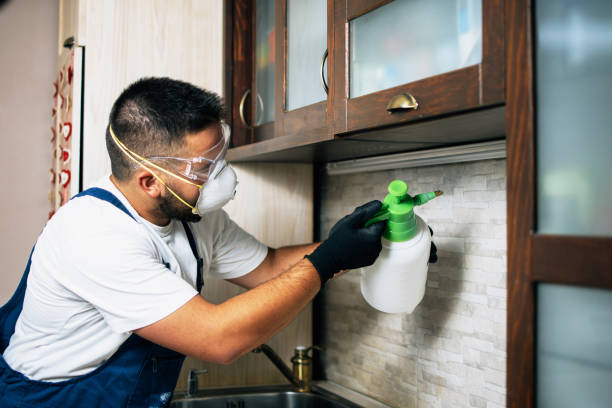 Best Rat Extermination Near Me  in Bonham, TX