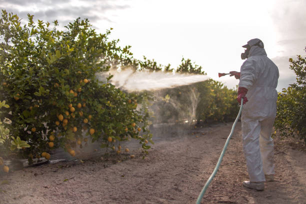 Best Commercial Pest Control Services  in Bonham, TX