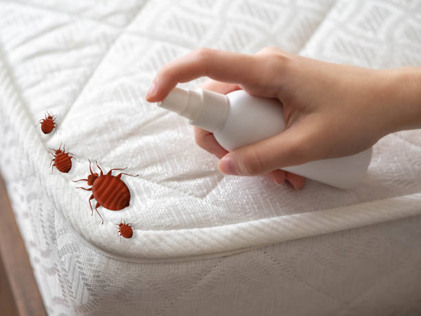 Best Best Pest Control Companies  in Bonham, TX