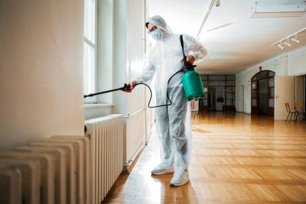 Flea Control Services in Bonham, TX