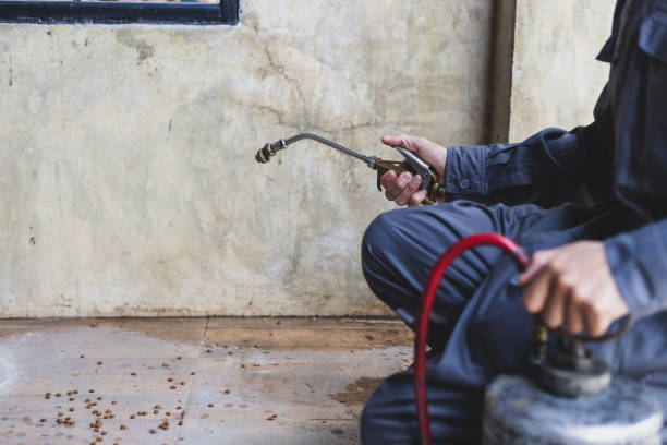 Best Mosquito Control Services  in Bonham, TX